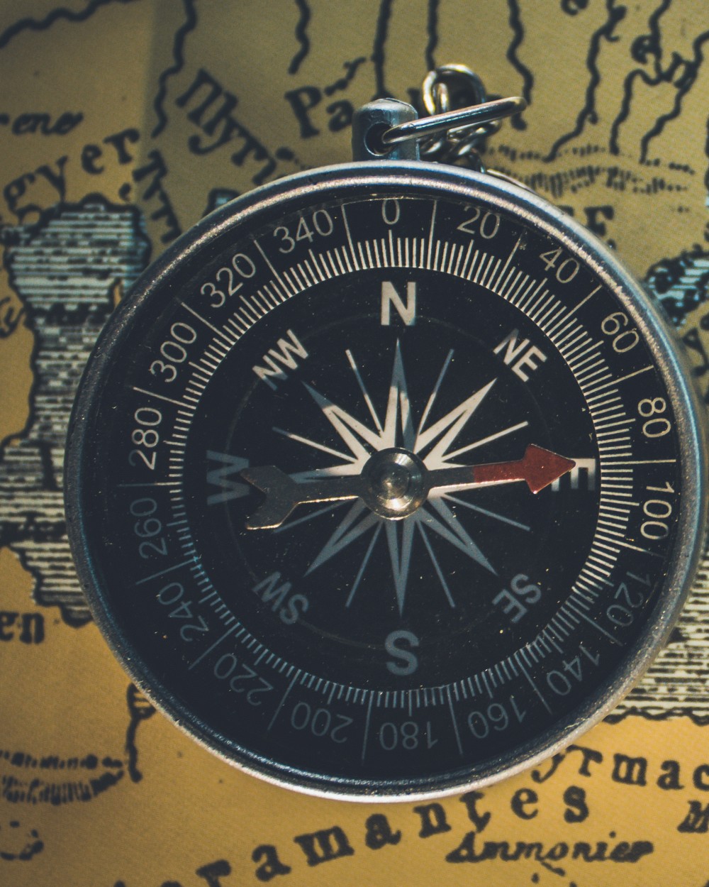The Ashford–Reyes “Our Story” Map — detail crop showing linework/lettering close up